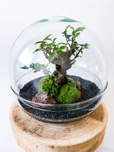 Afbeelding in Gallery-weergave laden, 04.CONCEPT - BRADLEY