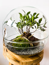 Afbeelding in Gallery-weergave laden, 22XB78 - BRADLEY