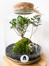 Afbeelding in Gallery-weergave laden, 22L74 - LEO