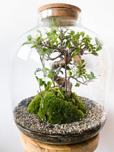 Afbeelding in Gallery-weergave laden, 22XXL67 - MAXIM