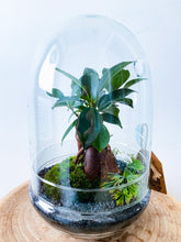 Afbeelding in Gallery-weergave laden, 05.CONCEPT - ZOË