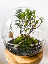 Afbeelding in Gallery-weergave laden, 22XB77 - BRADLEY