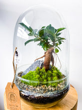 Afbeelding in Gallery-weergave laden, 22MS61 - ZOË