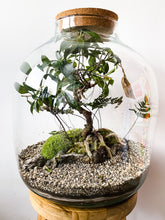 Afbeelding in Gallery-weergave laden, 22XXL66 - MAXIM