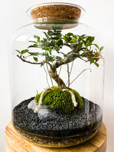 Afbeelding in Gallery-weergave laden, 22L75 - LEO