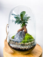 Afbeelding in Gallery-weergave laden, 22MS61 - ZOË