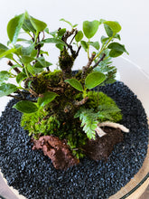 Afbeelding in Gallery-weergave laden, 04.CONCEPT - BRADLEY