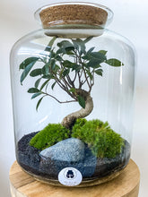 Afbeelding in Gallery-weergave laden, 22L58 - LEO