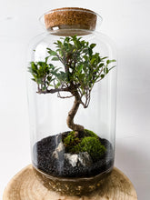 Afbeelding in Gallery-weergave laden, 03.CONCEPT - ALEKS