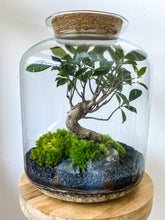 Afbeelding in Gallery-weergave laden, 22L58 - LEO