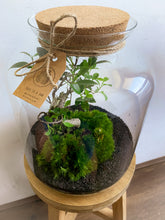 Afbeelding in Gallery-weergave laden, 22L55 - LEO