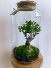 Afbeelding in Gallery-weergave laden, 22XL56 - ALEKS