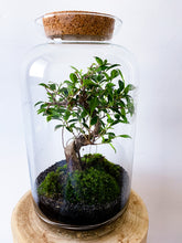 Afbeelding in Gallery-weergave laden, 03.CONCEPT - ALEKS