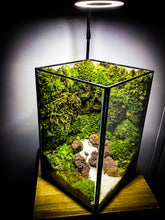 Afbeelding in Gallery-weergave laden, 20PM73 - EDEN