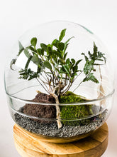 Afbeelding in Gallery-weergave laden, 22XB78 - BRADLEY