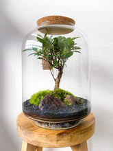 Afbeelding in Gallery-weergave laden, 06.CONCEPT - AVA