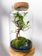 Afbeelding in Gallery-weergave laden, 22XL63 - ALEKS