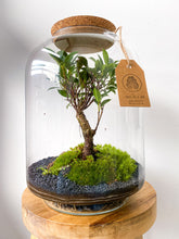 Afbeelding in Gallery-weergave laden, 06.CONCEPT - AVA