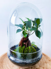 Afbeelding in Gallery-weergave laden, 05.CONCEPT - ZOË