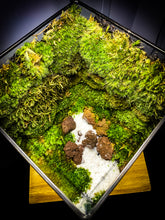 Afbeelding in Gallery-weergave laden, 20PM73 - EDEN