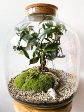 Afbeelding in Gallery-weergave laden, 22XXL66 - MAXIM