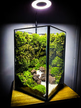 Afbeelding in Gallery-weergave laden, 20LL01 - LIGHT ON A JAR