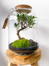 Afbeelding in Gallery-weergave laden, 06.CONCEPT - AVA