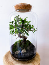 Afbeelding in Gallery-weergave laden, 03.CONCEPT - ALEKS