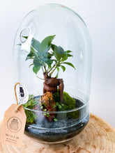 Afbeelding in Gallery-weergave laden, 05.CONCEPT - ZOË