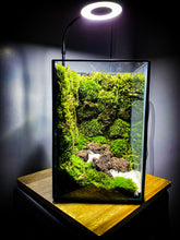 Afbeelding in Gallery-weergave laden, 20PM73 - EDEN