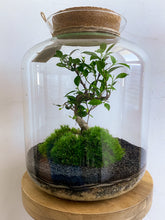 Afbeelding in Gallery-weergave laden, 22L55 - LEO