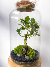 Afbeelding in Gallery-weergave laden, 22XL65 - ALEKS