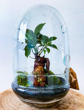 Afbeelding in Gallery-weergave laden, 05.CONCEPT - ZOË