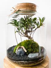 Afbeelding in Gallery-weergave laden, 22L74 - LEO