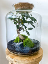 Afbeelding in Gallery-weergave laden, 22L58 - LEO