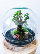 Afbeelding in Gallery-weergave laden, 04.CONCEPT - BRADLEY