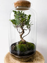 Afbeelding in Gallery-weergave laden, 03.CONCEPT - ALEKS