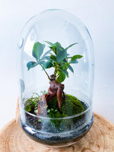 Afbeelding in Gallery-weergave laden, 05.CONCEPT - ZOË