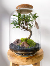 Afbeelding in Gallery-weergave laden, 06.CONCEPT - AVA