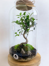 Afbeelding in Gallery-weergave laden, 22XL57 - ALEKS