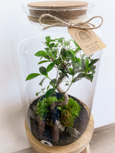 Afbeelding in Gallery-weergave laden, 22XL57 - ALEKS