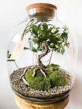 Afbeelding in Gallery-weergave laden, 22XXL66 - MAXIM