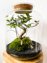 Afbeelding in Gallery-weergave laden, 22L75 - LEO