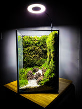 Afbeelding in Gallery-weergave laden, 20PM73 - EDEN