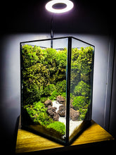 Afbeelding in Gallery-weergave laden, 20PM73 - EDEN